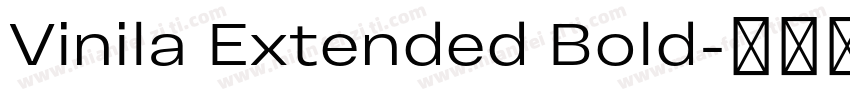 Vinila Extended Bold字体转换